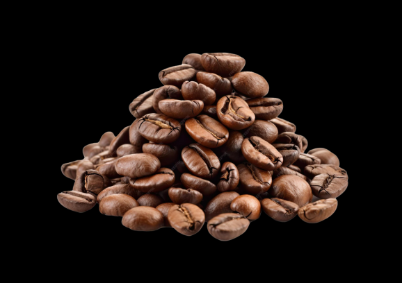  WMF Terra - Cafetera aroma, máquina de café con filtro para 10  tazas, función automática de apagado automático, 1000 vatios, acero  inoxidable, 0412150081 : Hogar y Cocina