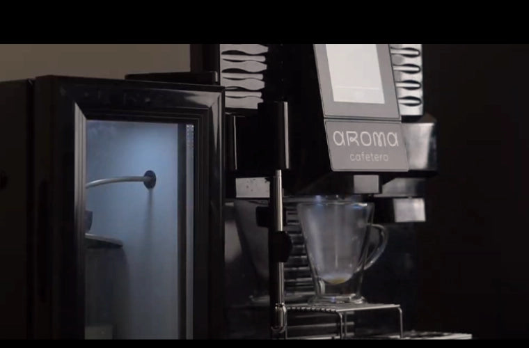  WMF Terra - Cafetera aroma, máquina de café con filtro para 10  tazas, función automática de apagado automático, 1000 vatios, acero  inoxidable, 0412150081 : Hogar y Cocina